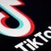 TikTok voluntarily shuts down in the U.S. as divest-or-ban law set to take effect