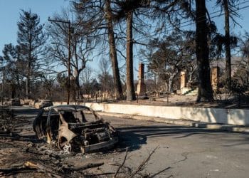 How Watch Duty became an essential app during the L.A. wildfires