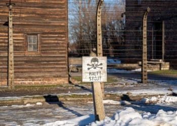 Decades after Auschwitz liberation, spotlight is on dwindling survivors