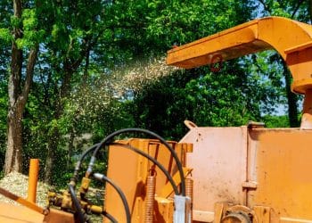 Tree trimmer killed in wood chipper accident in Florida