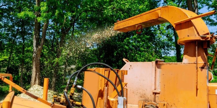 Tree trimmer killed in wood chipper accident in Florida