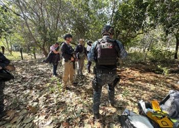 Dismembered bodies of 24 people found in mass grave in Mexico