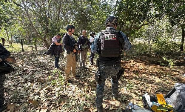Dismembered bodies of 24 people found in mass grave in Mexico