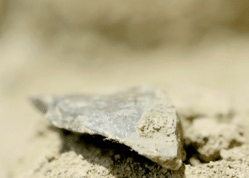 Researchers find 3-million-year-old tools in Kenya