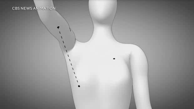 spivey-animation.jpg 