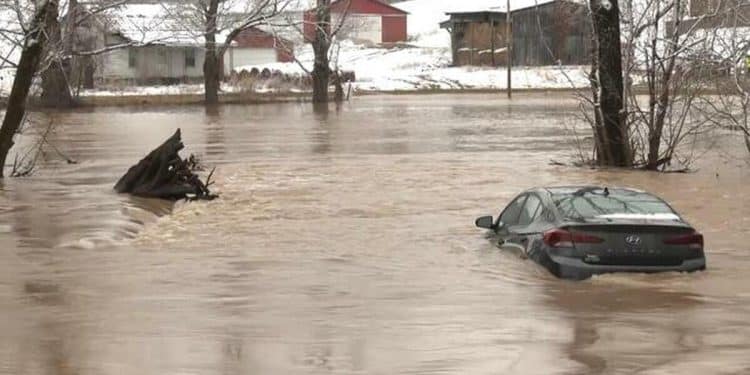 Feb 17: CBS News 24/7, 10am ET