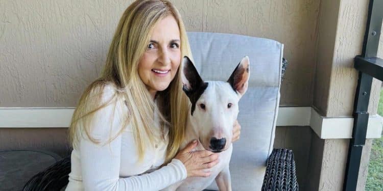 Trooper the dog endures surgeries for cancer and a foreign object in his stomach