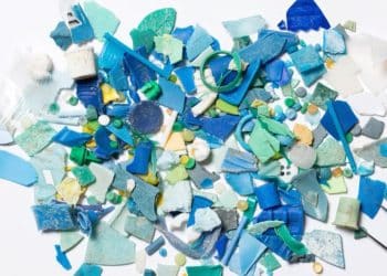 New study finds alarming levels of plastic accumulation in human brains