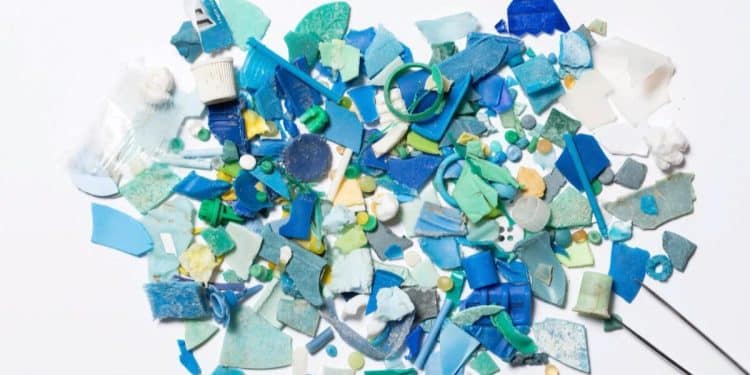 New study finds alarming levels of plastic accumulation in human brains