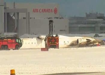 2/17: The Daily Report