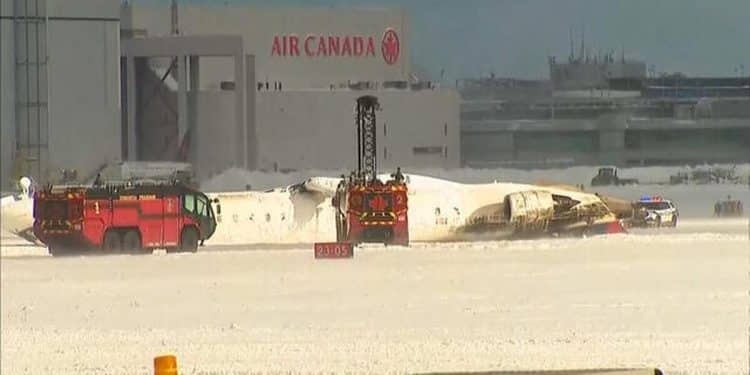 2/17: The Daily Report