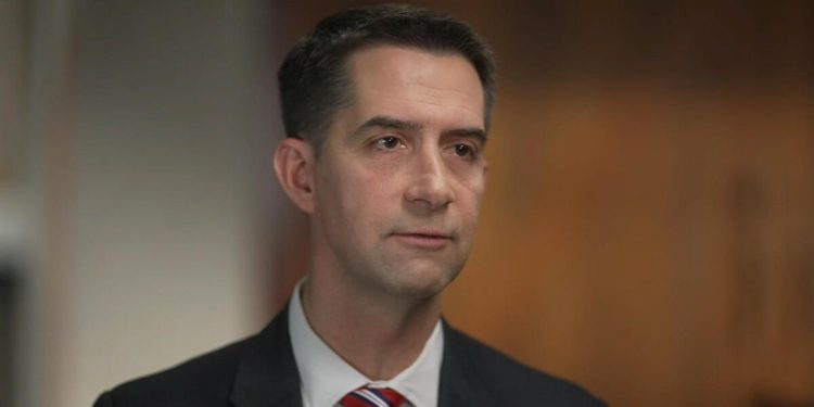 Sen. Tom Cotton: U.S. military needs authority to take down drones