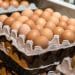 Consumers turn to buying or renting hens as egg prices soar, but it may not help you save