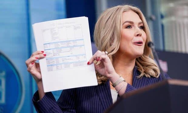 DOGE releases updated “wall of receipts” with more discrepancies