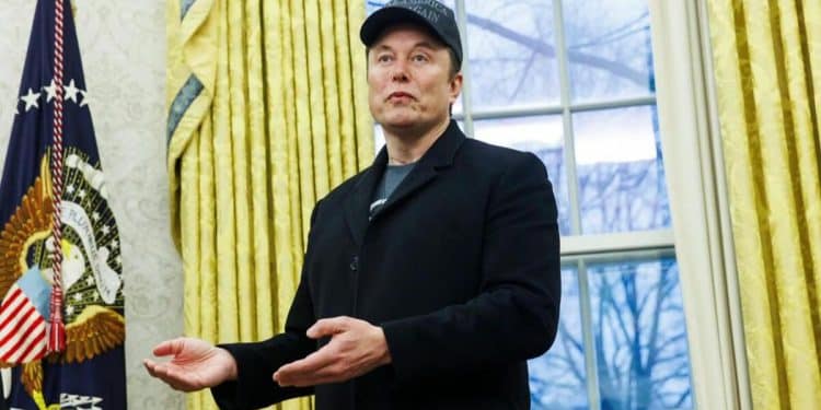 Could Elon Musk benefit from DOGE cuts at consumer protection watchdog?