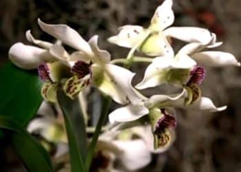 Average springtime temperatures rising across U.S.