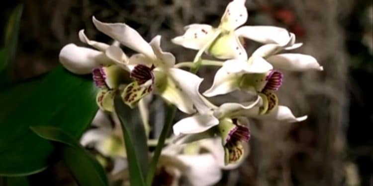 Average springtime temperatures rising across U.S.