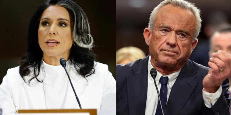 Confirmation votes expected this week for Tulsi Gabbard, RFK Jr.; Senate to hold budget vote