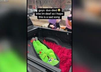 Duolingo announces “death” of Duo owl mascot