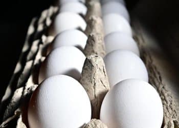 Egg prices expected to go even higher due to shortage from bird flu