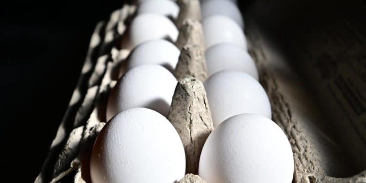 Egg prices expected to go even higher due to shortage from bird flu