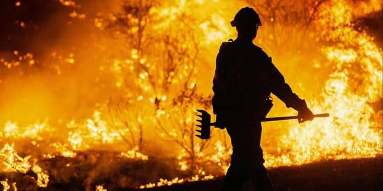 Forest Service firings could impact wildfire preparedness