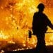 Forest Service firings could impact wildfire preparedness