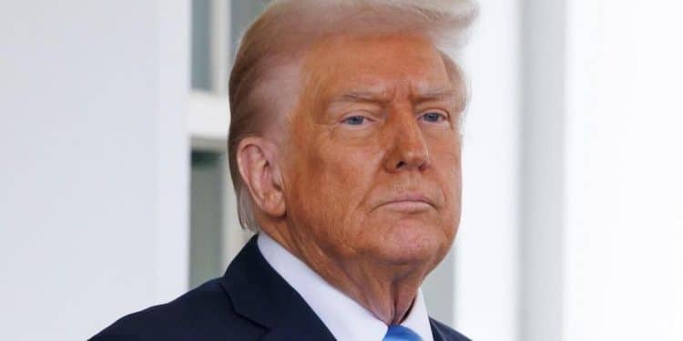 What does an Inspector General do?