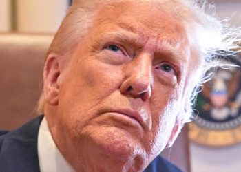 How Democrats in Congress are tacking Trump’s massive government changes