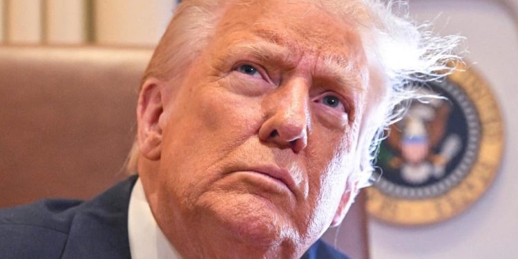 How Democrats in Congress are tacking Trump’s massive government changes