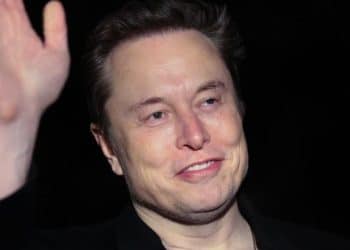 How does the White House characterize Elon Musk’s role in DOGE, government?