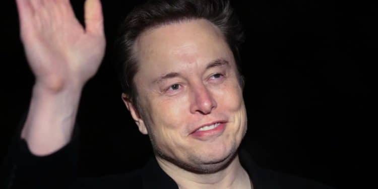 How does the White House characterize Elon Musk’s role in DOGE, government?