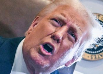 How far is Trump willing to go on Gaza plans?