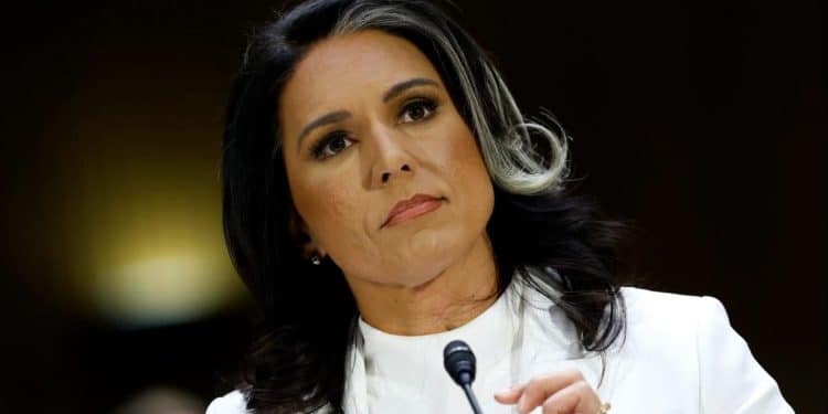 How did Tulsi Gabbard go from controversial to a likely Cabinet confirmation?