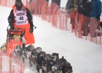 Iditarod sled dog race starting line relocated over lack of snow