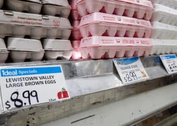 Inflation accelerated in January, CPI report finds