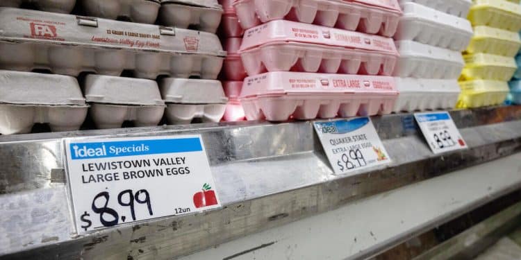 Inflation accelerated in January, CPI report finds