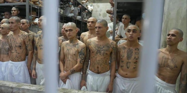 Inside El Salvador’s notorious CECOT mega-prison