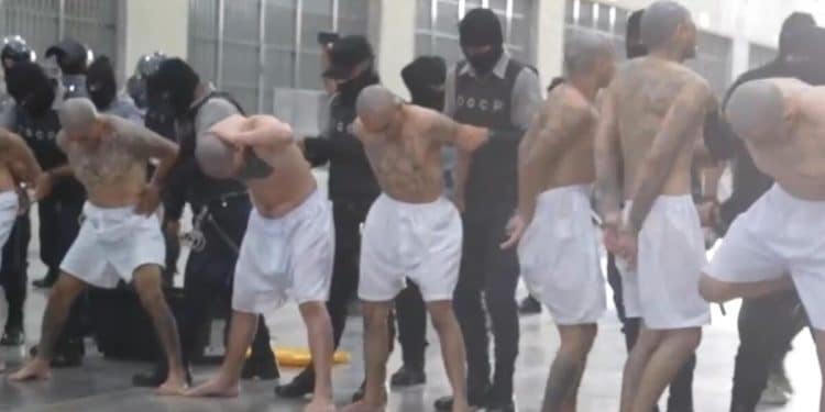 El Salvador’s prisons: U.S. considers incarcerating deportees in El Salvador