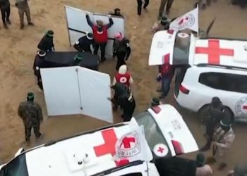 Israel says slain Israeli mother was not among hostage remains released by Hamas