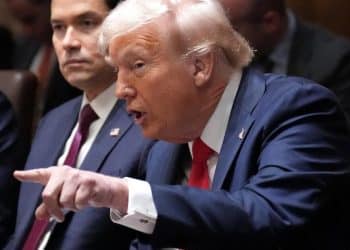 Latest news from Trump’s first Cabinet meeting that Musk attended