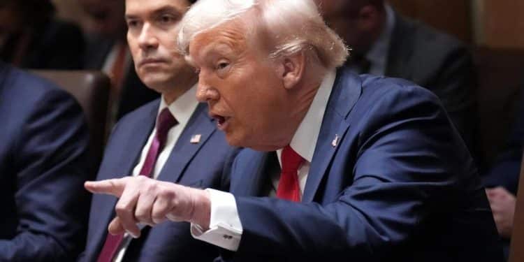 Latest news from Trump’s first Cabinet meeting that Musk attended