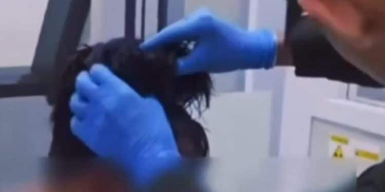 Man caught hiding bags of cocaine under his wig at Colombia airport