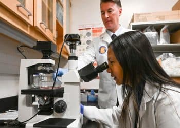 Medical research in jeopardy as Trump seeks to slash funding