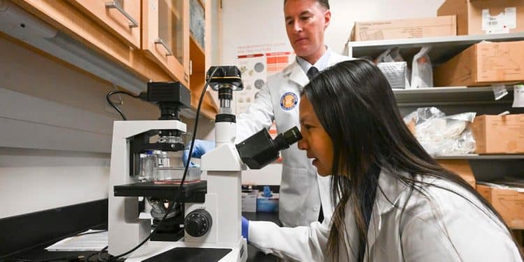 Medical research in jeopardy as Trump seeks to slash funding