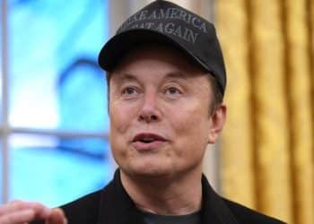 Musk’s DOGE targets IRS as federal workers face mass layoffs