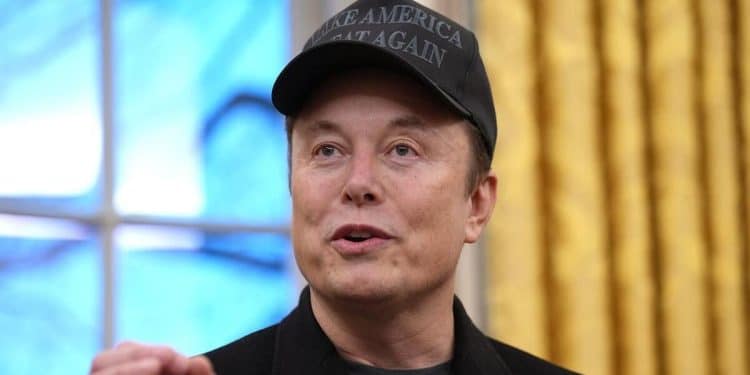 Musk’s DOGE targets IRS as federal workers face mass layoffs