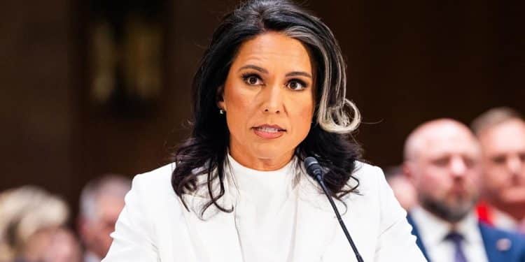 Senate committee advances Tulsi Gabbard’s nomination as director of national intelligence