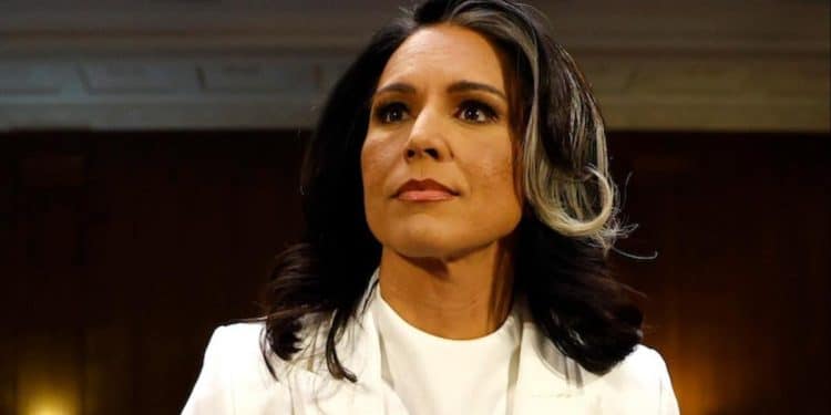 Senate confirms Tulsi Gabbard as director of national intelligence