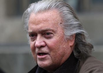Steve Bannon pleads guilty in border wall fraud case